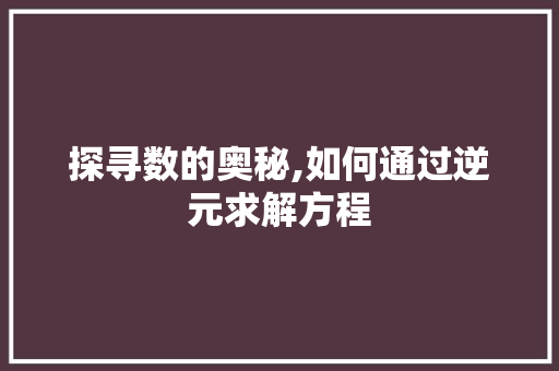 探寻数的奥秘,如何通过逆元求解方程 SEO教程