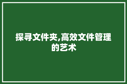 探寻文件夹,高效文件管理的艺术 服务器/数据库