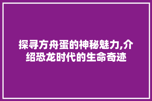 探寻方舟蛋的神秘魅力,介绍恐龙时代的生命奇迹