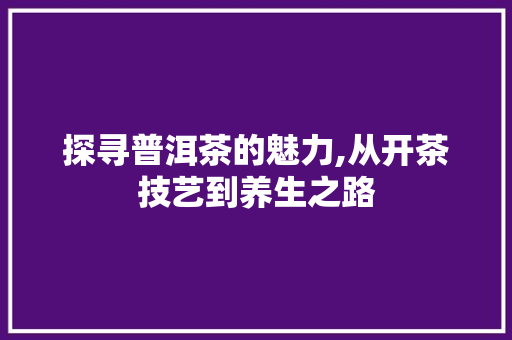 探寻普洱茶的魅力,从开茶技艺到养生之路