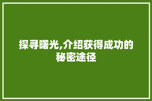 探寻曙光,介绍获得成功的秘密途径