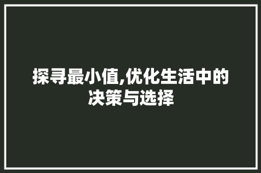 探寻最小值,优化生活中的决策与选择