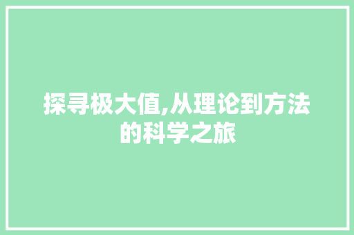 探寻极大值,从理论到方法的科学之旅
