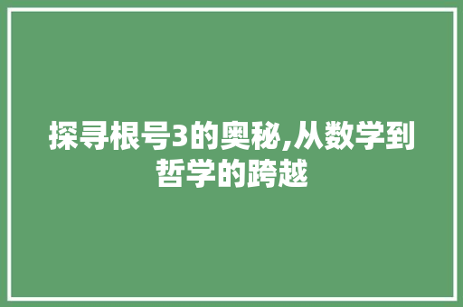 探寻根号3的奥秘,从数学到哲学的跨越