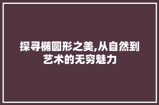探寻椭圆形之美,从自然到艺术的无穷魅力
