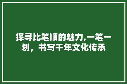 探寻比笔顺的魅力,一笔一划，书写千年文化传承 建站教程