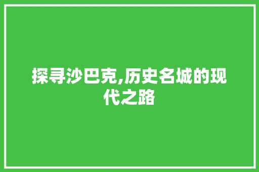 探寻沙巴克,历史名城的现代之路