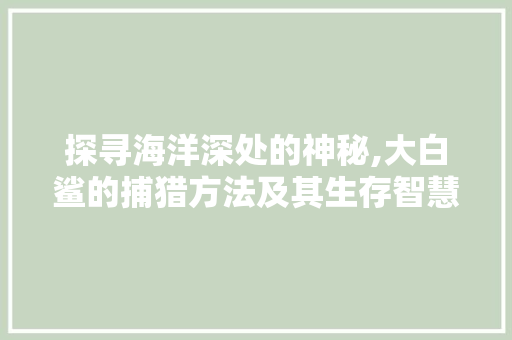 探寻海洋深处的神秘,大白鲨的捕猎方法及其生存智慧