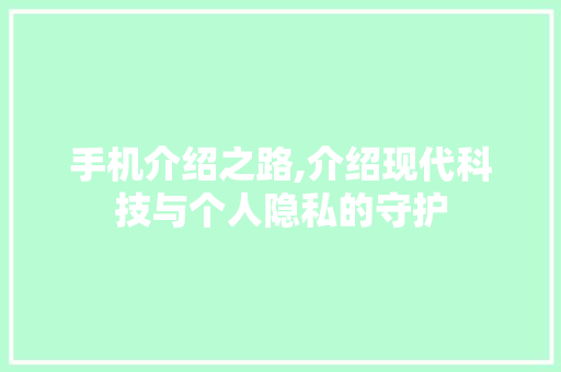 手机介绍之路,介绍现代科技与个人隐私的守护 SEO教程