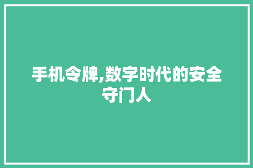 手机令牌,数字时代的安全守门人