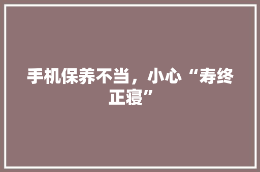 手机保养不当，小心“寿终正寝” SEO教程