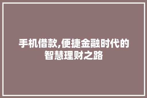 手机借款,便捷金融时代的智慧理财之路