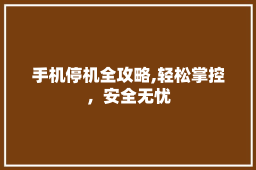 手机停机全攻略,轻松掌控，安全无忧 WordPress教程