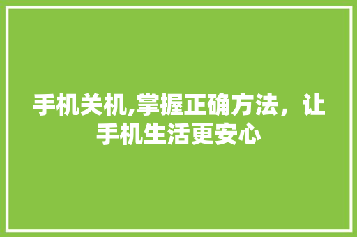 手机关机,掌握正确方法，让手机生活更安心