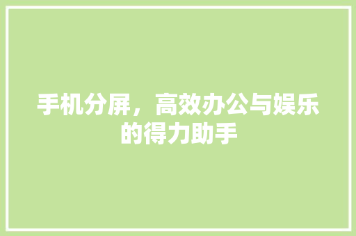 手机分屏，高效办公与娱乐的得力助手