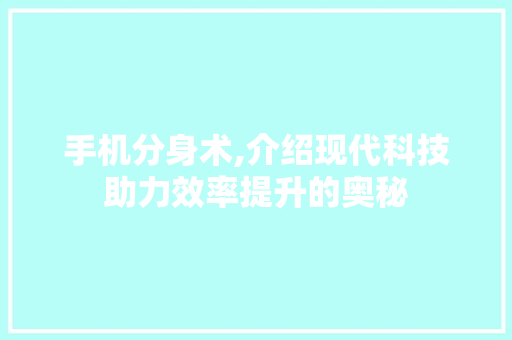 手机分身术,介绍现代科技助力效率提升的奥秘 WordPress教程