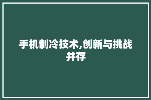 手机制冷技术,创新与挑战并存 SEO教程