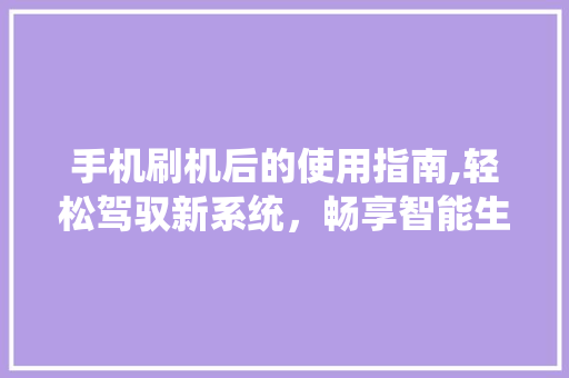 手机刷机后的使用指南,轻松驾驭新系统，畅享智能生活 服务器/数据库
