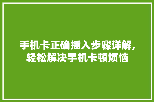 手机卡正确插入步骤详解,轻松解决手机卡顿烦恼
