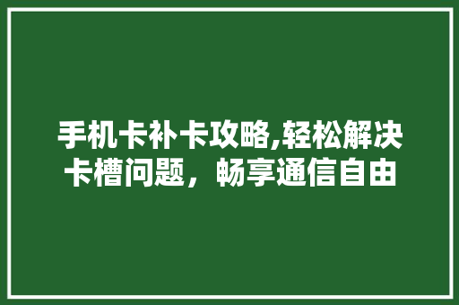 手机卡补卡攻略,轻松解决卡槽问题，畅享通信自由