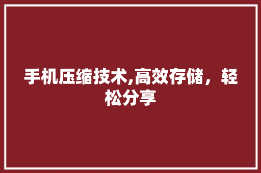 手机压缩技术,高效存储，轻松分享