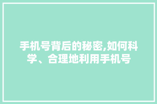 手机号背后的秘密,如何科学、合理地利用手机号