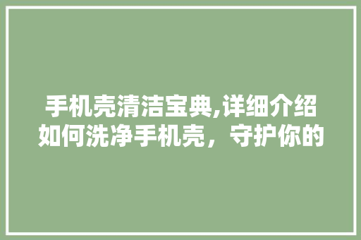 手机壳清洁宝典,详细介绍如何洗净手机壳，守护你的手机伴侣 SEO教程
