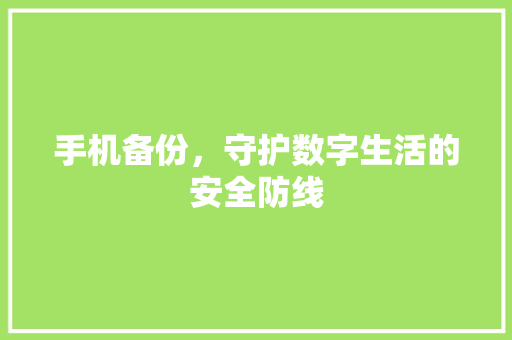 手机备份，守护数字生活的安全防线