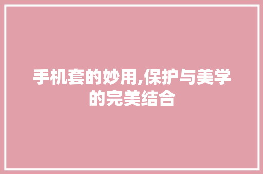 手机套的妙用,保护与美学的完美结合