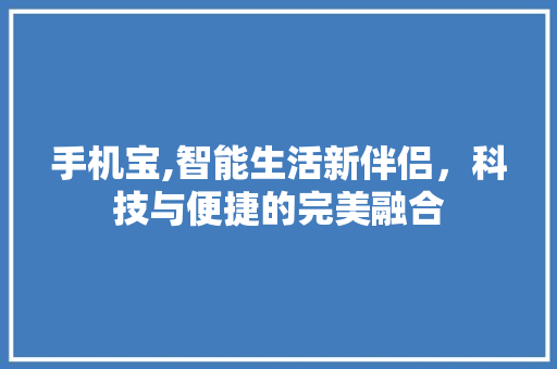手机宝,智能生活新伴侣，科技与便捷的完美融合