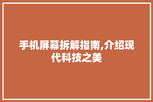 手机屏幕拆解指南,介绍现代科技之美