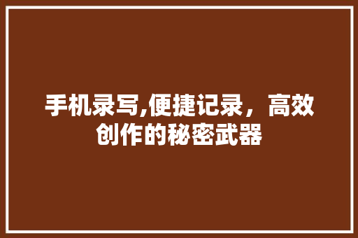 手机录写,便捷记录，高效创作的秘密武器