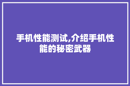 手机性能测试,介绍手机性能的秘密武器