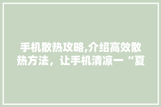 手机散热攻略,介绍高效散热方法，让手机清凉一“夏” 服务器/数据库