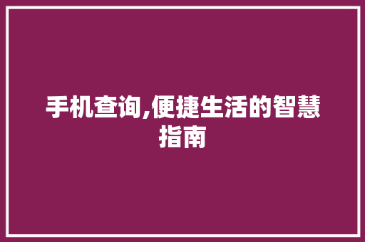 手机查询,便捷生活的智慧指南