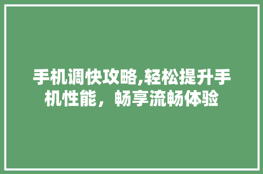 手机调快攻略,轻松提升手机性能，畅享流畅体验
