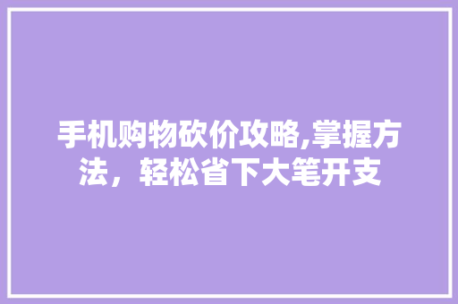 手机购物砍价攻略,掌握方法，轻松省下大笔开支