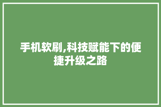 手机软刷,科技赋能下的便捷升级之路