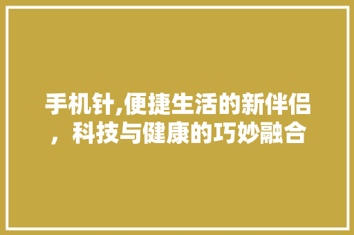手机针,便捷生活的新伴侣，科技与健康的巧妙融合