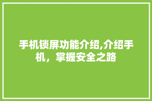 手机锁屏功能介绍,介绍手机，掌握安全之路 建站教程