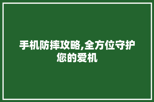 手机防摔攻略,全方位守护您的爱机