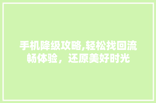手机降级攻略,轻松找回流畅体验，还原美好时光 服务器/数据库