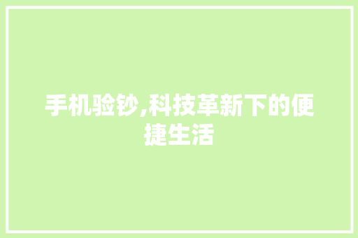 手机验钞,科技革新下的便捷生活
