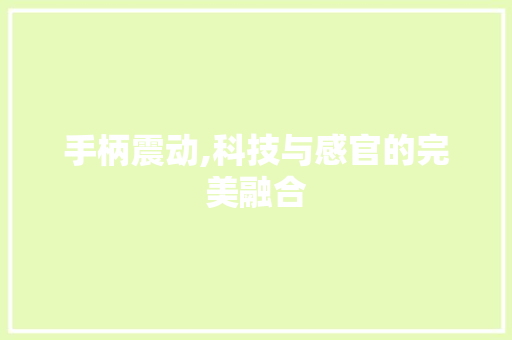 手柄震动,科技与感官的完美融合 WordPress教程