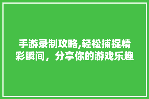 手游录制攻略,轻松捕捉精彩瞬间，分享你的游戏乐趣