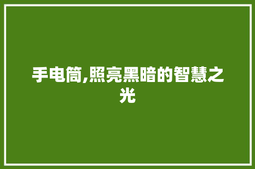 手电筒,照亮黑暗的智慧之光