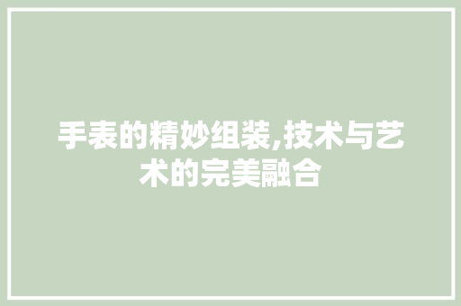 手表的精妙组装,技术与艺术的完美融合 Web前端