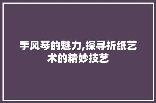 手风琴的魅力,探寻折纸艺术的精妙技艺