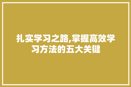 扎实学习之路,掌握高效学习方法的五大关键
