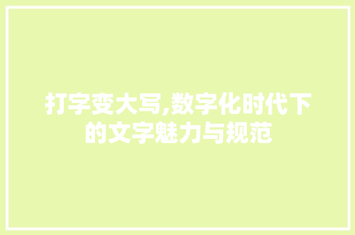 打字变大写,数字化时代下的文字魅力与规范 WordPress教程